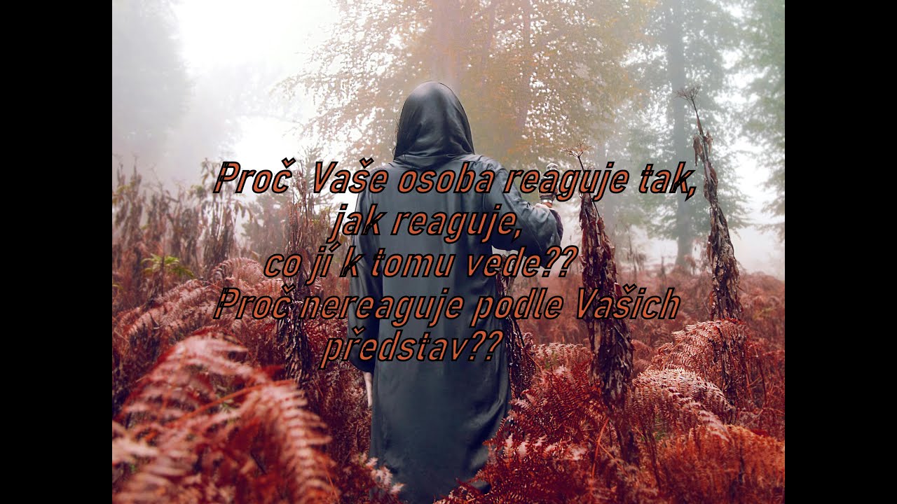 Výklad karet🦋Proč Váš člověk reaguje tak, jak reaguje? Chce Váš vztah posunout nebo se vzdaluje?💑🙌🚀🍀