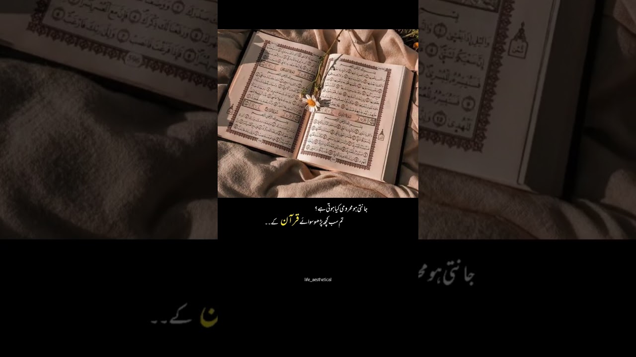 right ✅️  #newislamicvideo #viralislamicshorts #islamicfigure #love #love #kanzulimaan