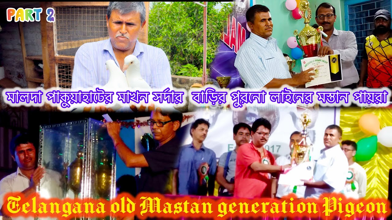 || MAKHAN SARDER JI MAINTAIN OLD MASTAN LINE KALANKA PIGEONS AND TELANGANA SEPLAR PIGEONS || PART-2