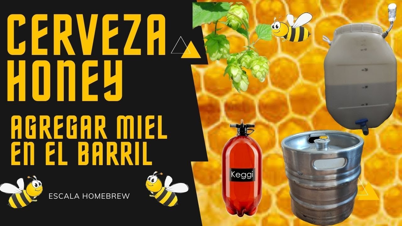 Como agregar miel en el barril y presurizar, Cerveza Honey, Cerveza Artesanal Saga.