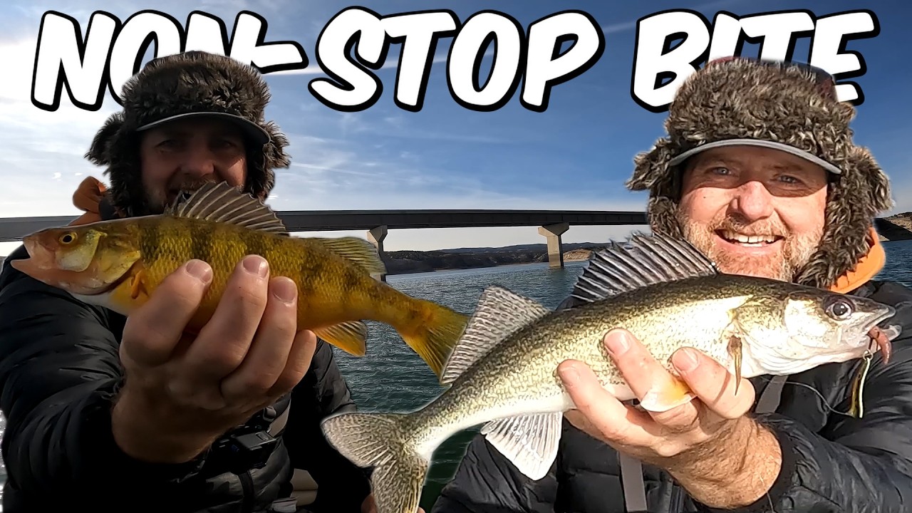 Hot Winter Walleye Bite at This Popular Lake in Utah. Fast fishing!