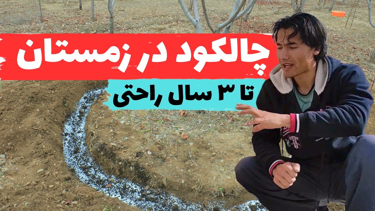 💥چالکود در زمستان👍 با این روش کود بدی تا سه سال راحتی