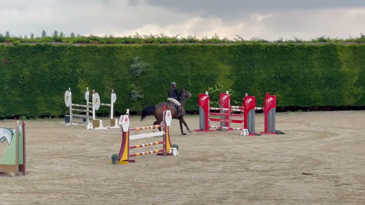 Jet Set de Virginia (Balou / Alligator) 125 Sancourt Septembre 2025