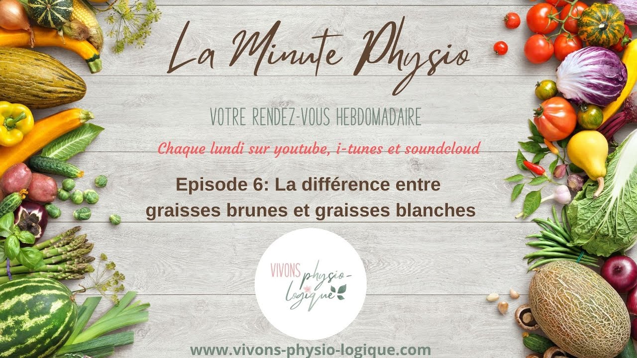 La Minute Physio #6: La diff&eacute;rence entre graisses brunes et graisses blanches