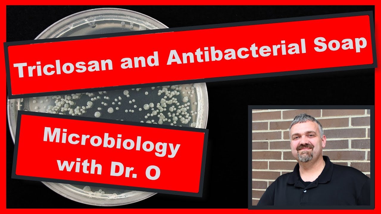 Triclosan Antibacterial Soap:  Microbiology