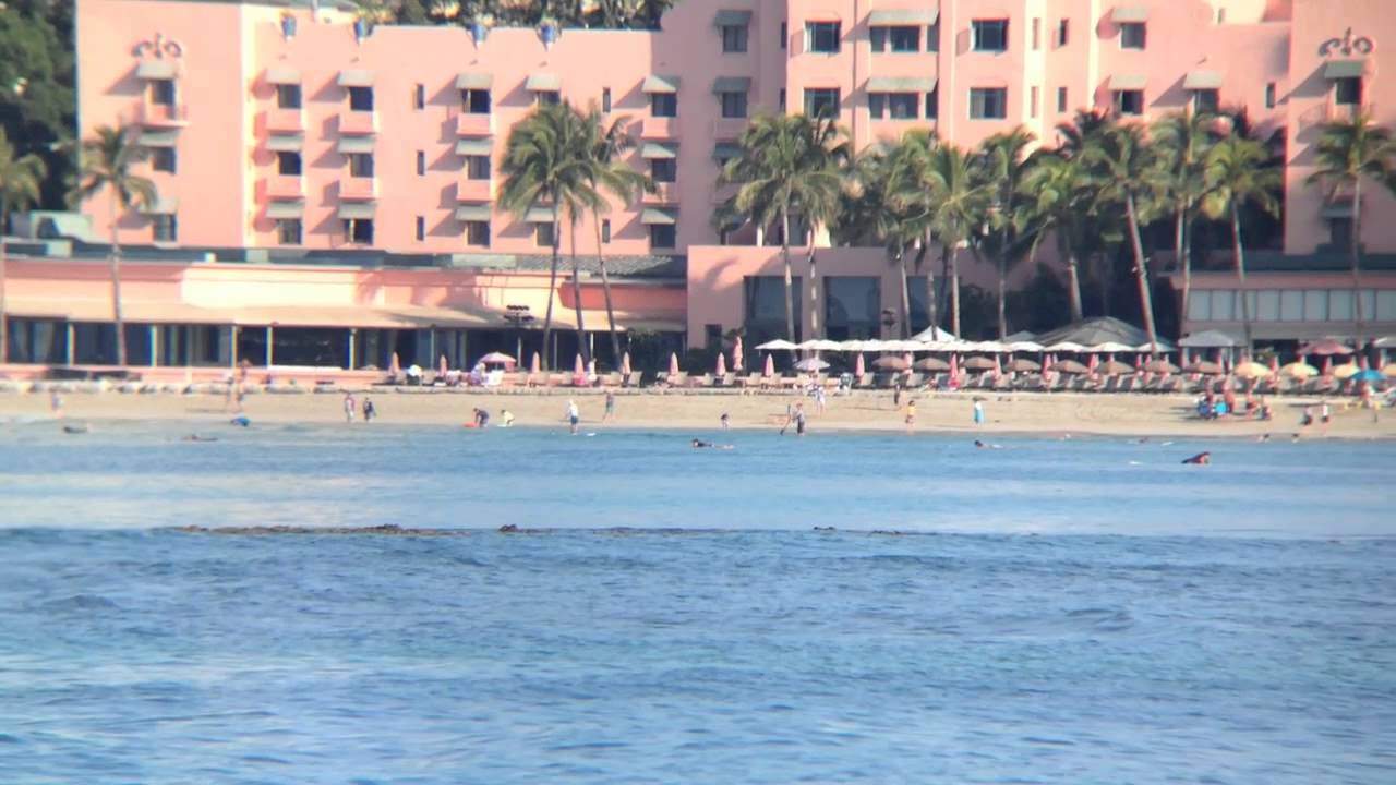Snapzoom Adapter Demo