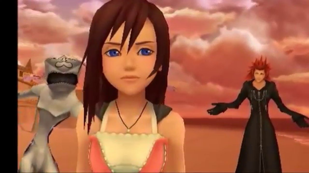 Kingdom Hearts Crack'd Up 5