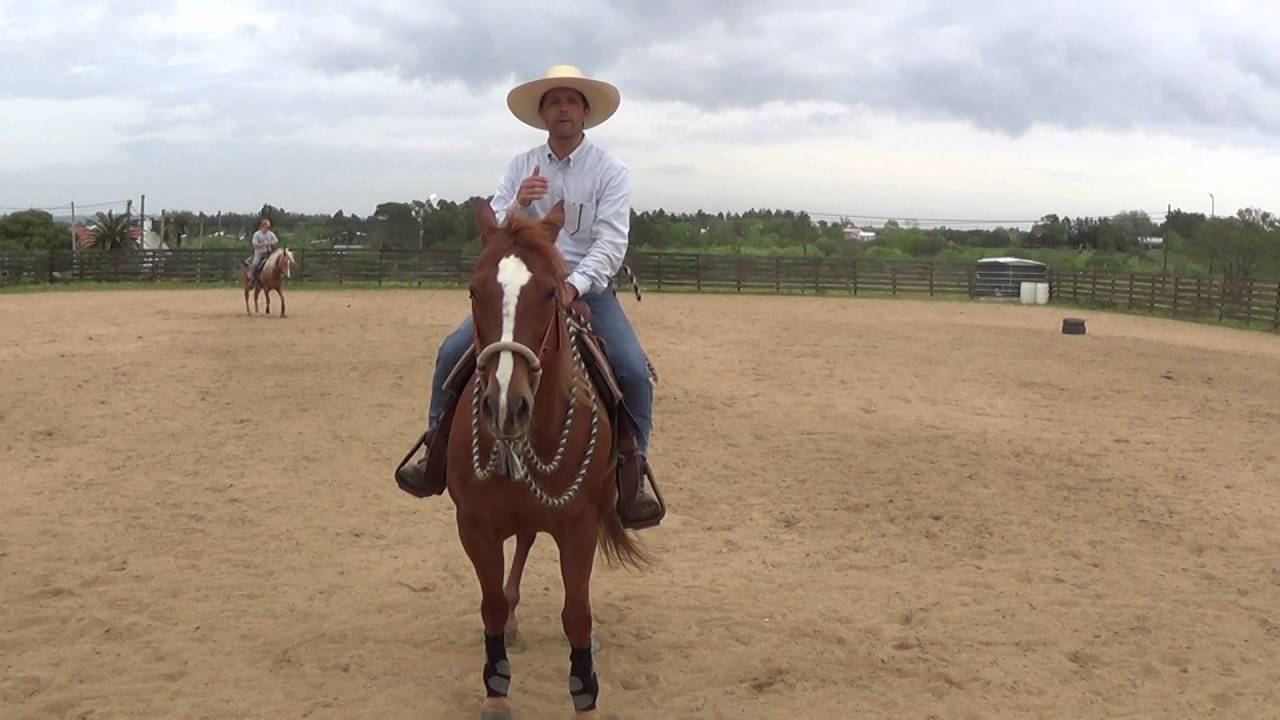 Como sacar un caballo al galope a la mano correcta.