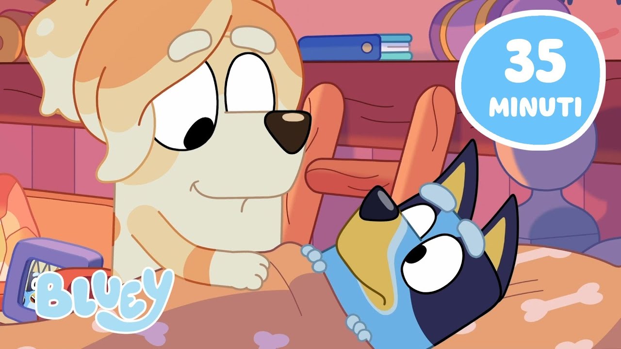🔴IN DIRETTA: Serata accogliente con gli Heelers 😴 | Bluey Italiano Canale Ufficiale