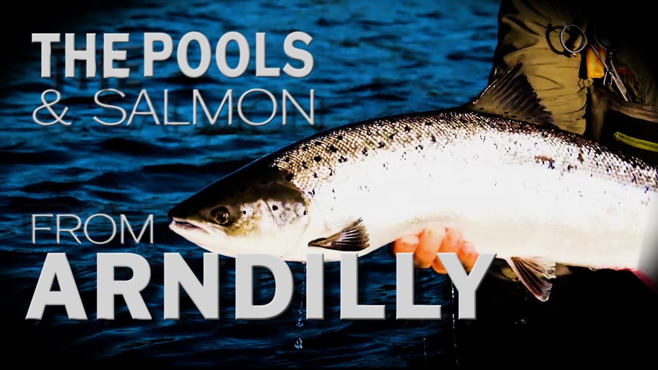 The Pools and Salmon From Arndilly On The River Spey  - Atlantic Salmon