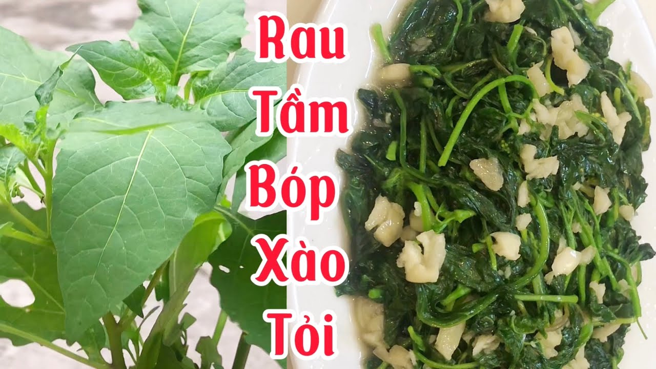 Rau tầm bóp xào tỏi và những công dụng thần kỳ của rau tầm bóp |món ngon mỗi ngày pt