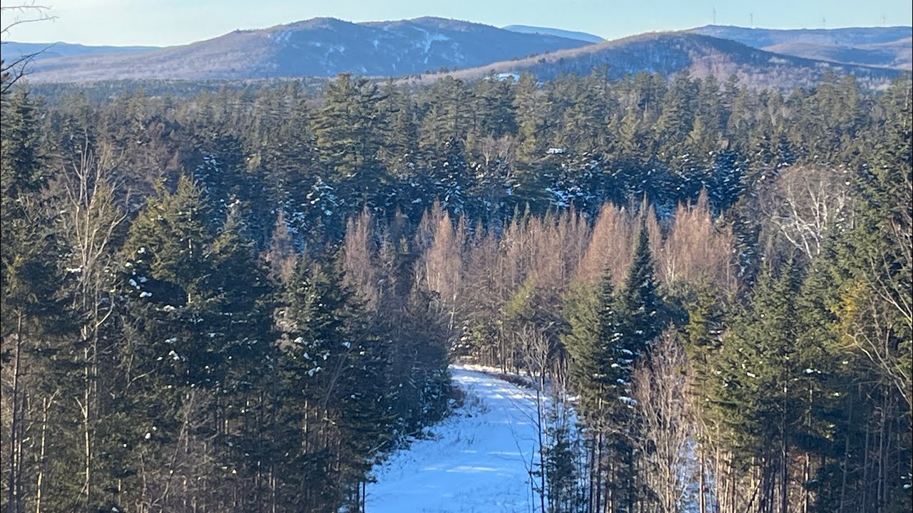 Tracking Bucks in NH 2025 (Part 2 of 3)
