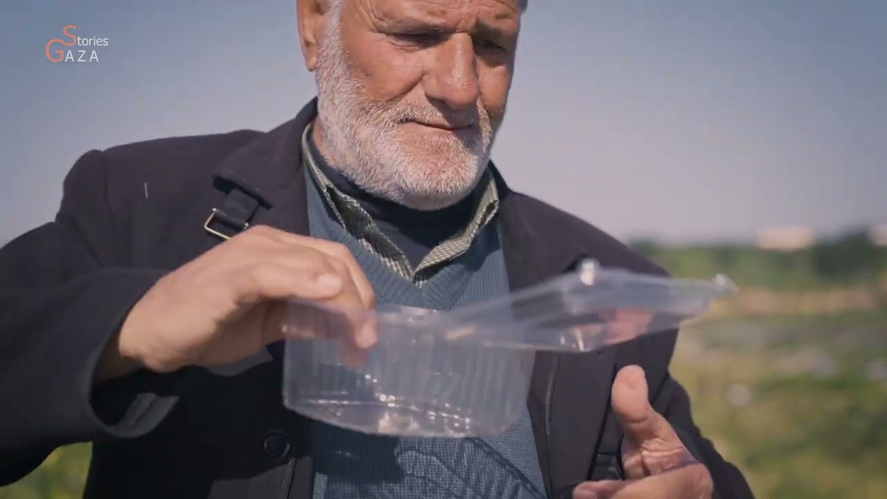 La fraiseraie touristique de Gaza.