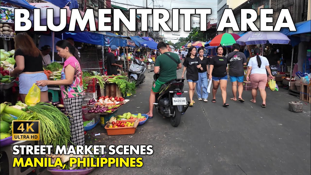 BLUMENTRITT Manila, Philippines Walking Tour | Side Street Market Scenes [4K]