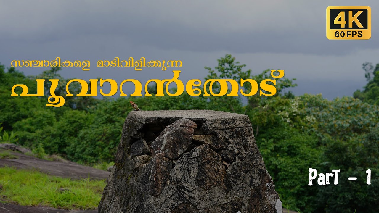 പൂവാറൻതോട്  -  Part-1 | കപ്പേള , പ്രകാശൻ പറക്കട്ടെ സിനിമ ലൊക്കേഷൻ | Poovaranthodu #poovaranthod