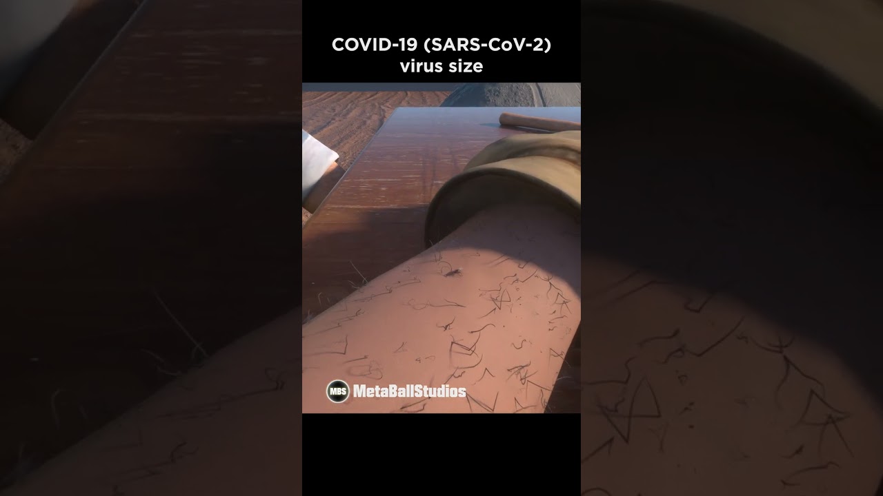 🤯🦠COVID-19 Size in Perspective!