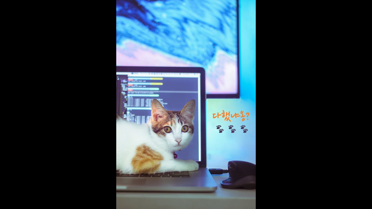 Playlist | (가사X) 로파이 재즈. 공부/일할때 틀어두는 BGM | Work & Study Lofi Jazz | No Lyrics