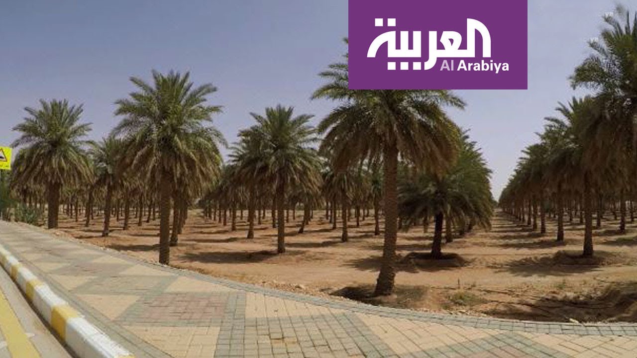 على خطى العرب | حصة السديري – الجزء الثاني