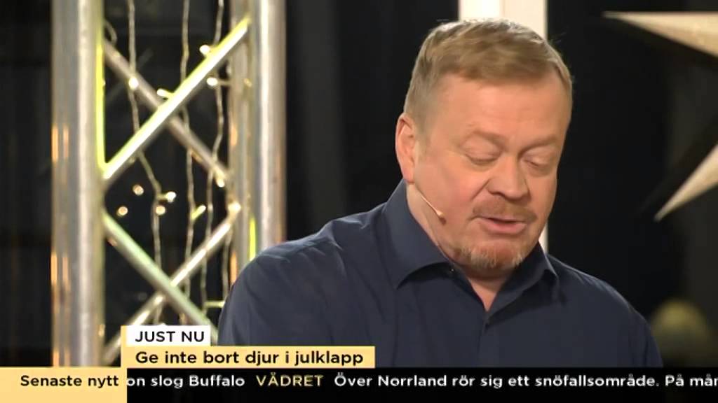 Därför ska du inte köpa inte levande julklappar - Nyhetsmorgon (TV4)