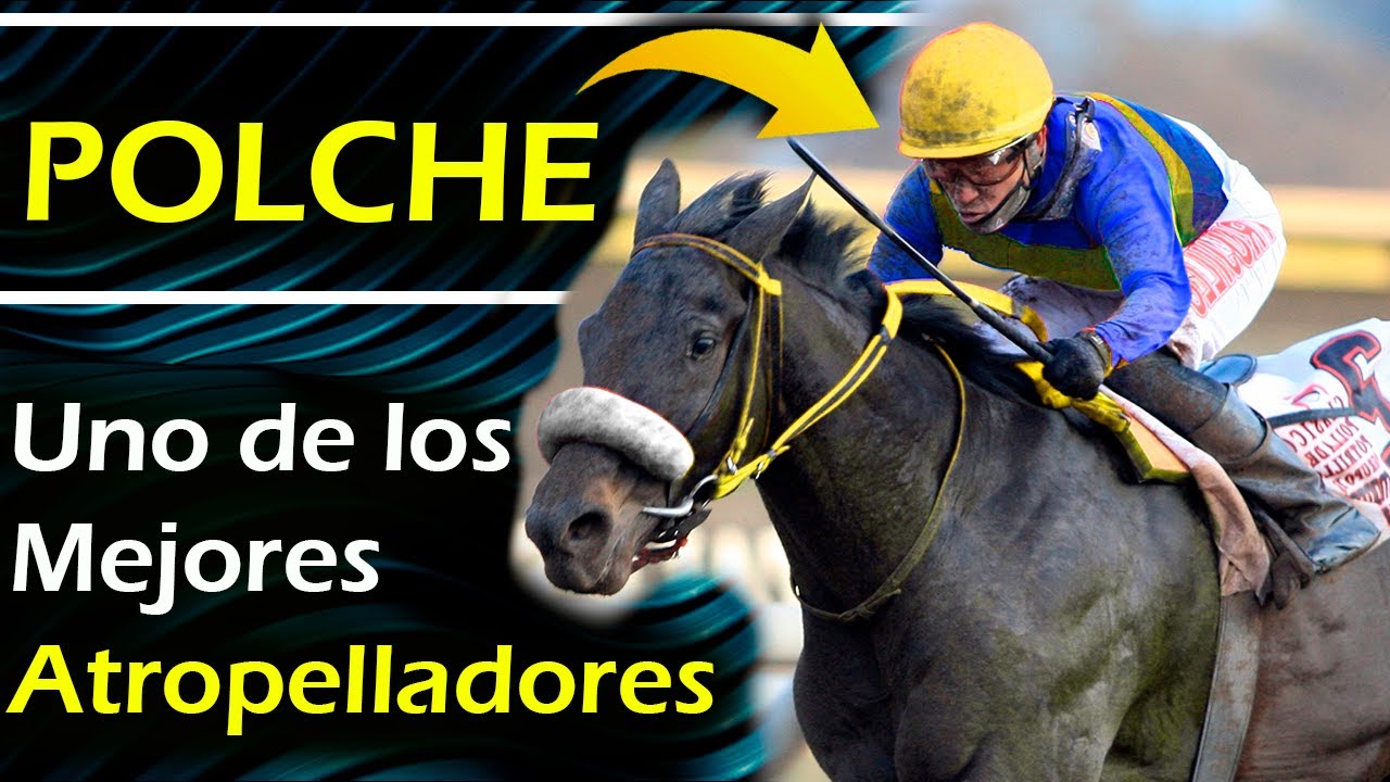POLCHE 🔥 5 VICTORIAS que lo llevaron a ser uno de los mejores FONDISTAS de la RINCONADA