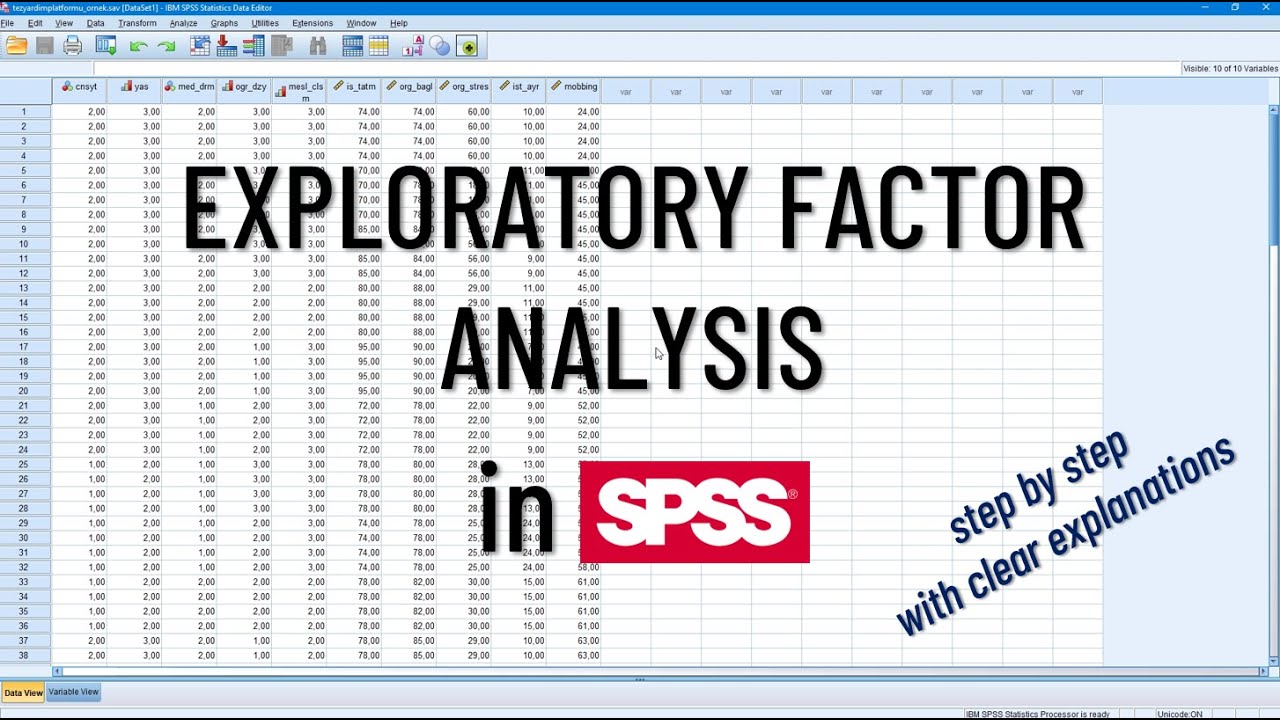 Validity Analysis | Exploratory Factor Analysis | From Prerequisites to Writing the Report