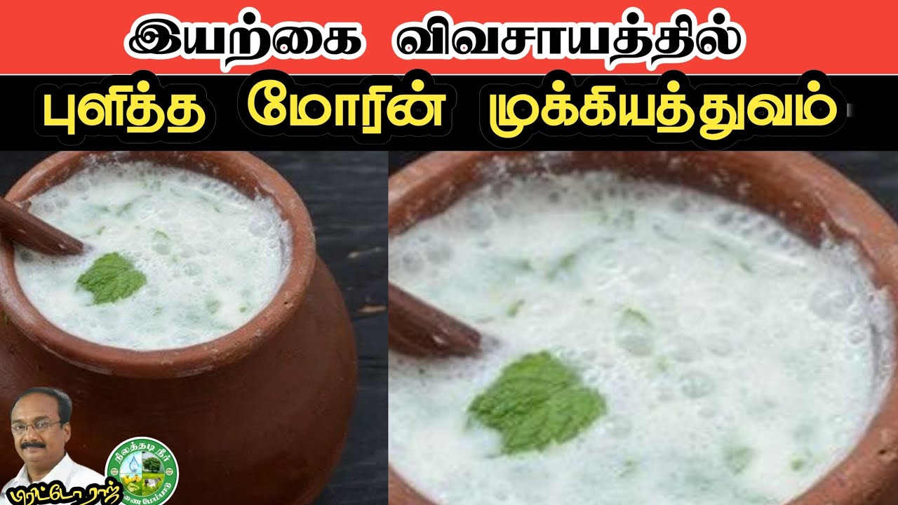 இயற்கை விவசாயத்தில் புளித்த மோரி்ன் முக்கியத்துவம்