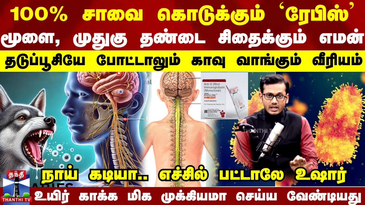 Rabies | 100 % சாவை கொடுக்கும் `ரேபிஸ்’ எமன்-தடுப்பூசி போட்டாலும் காவு வாங்கும் - தப்பிப்பது எப்படி?