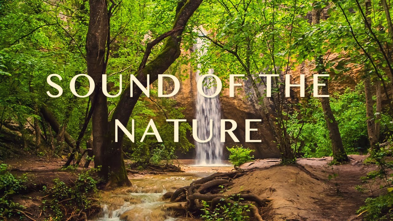 Classical music for relaxation | Deep focus music to improve concentration | calming music for sleep