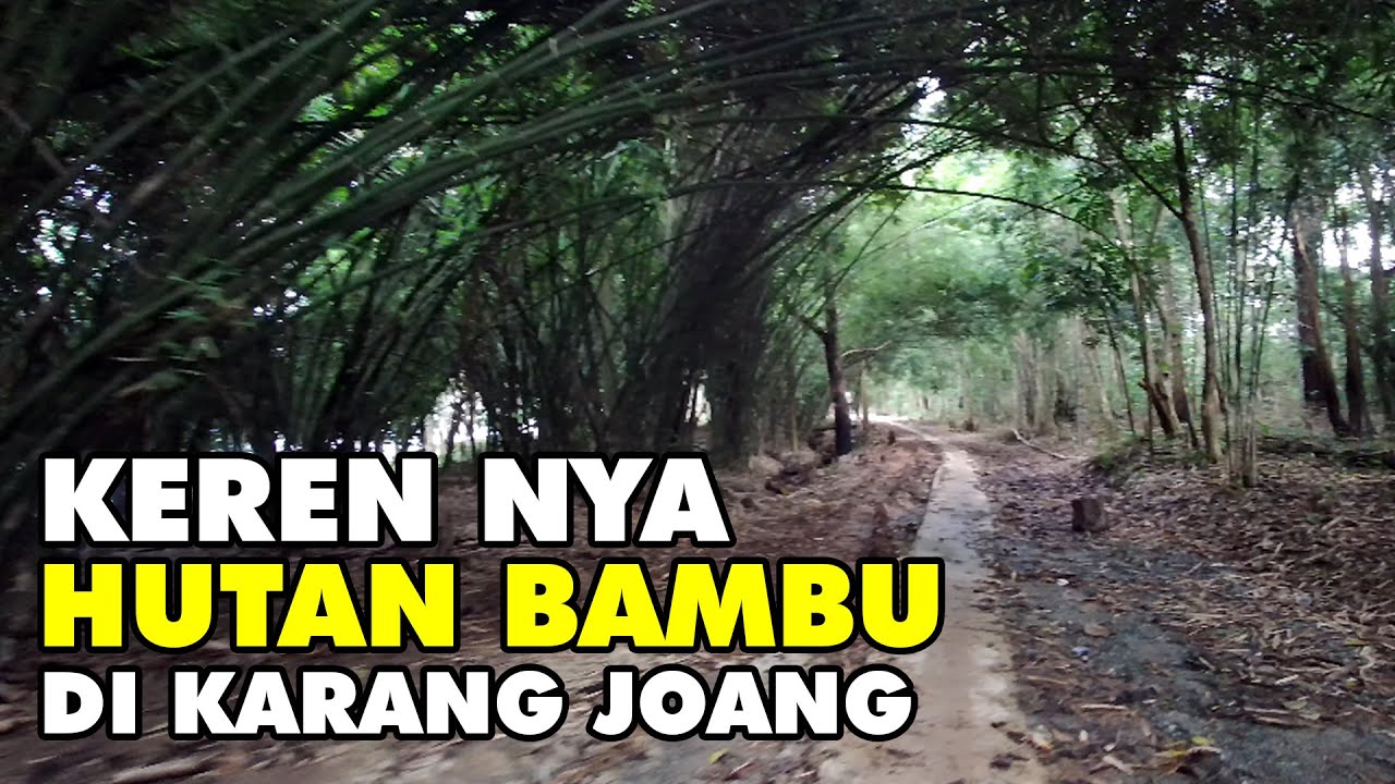 HUTAN BAMBU KILO 15  KARANG JOANG  BALIKPAPAN