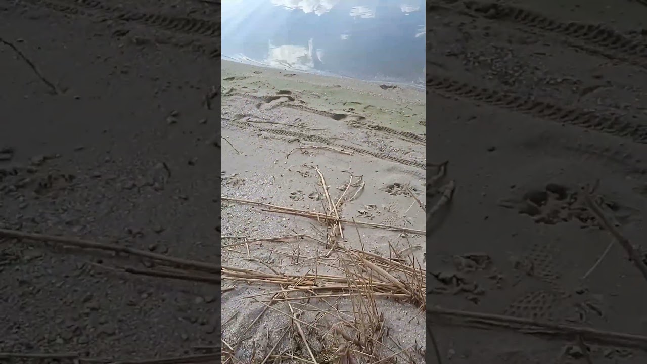 грязный вонючий байкер неделю не мылсо..