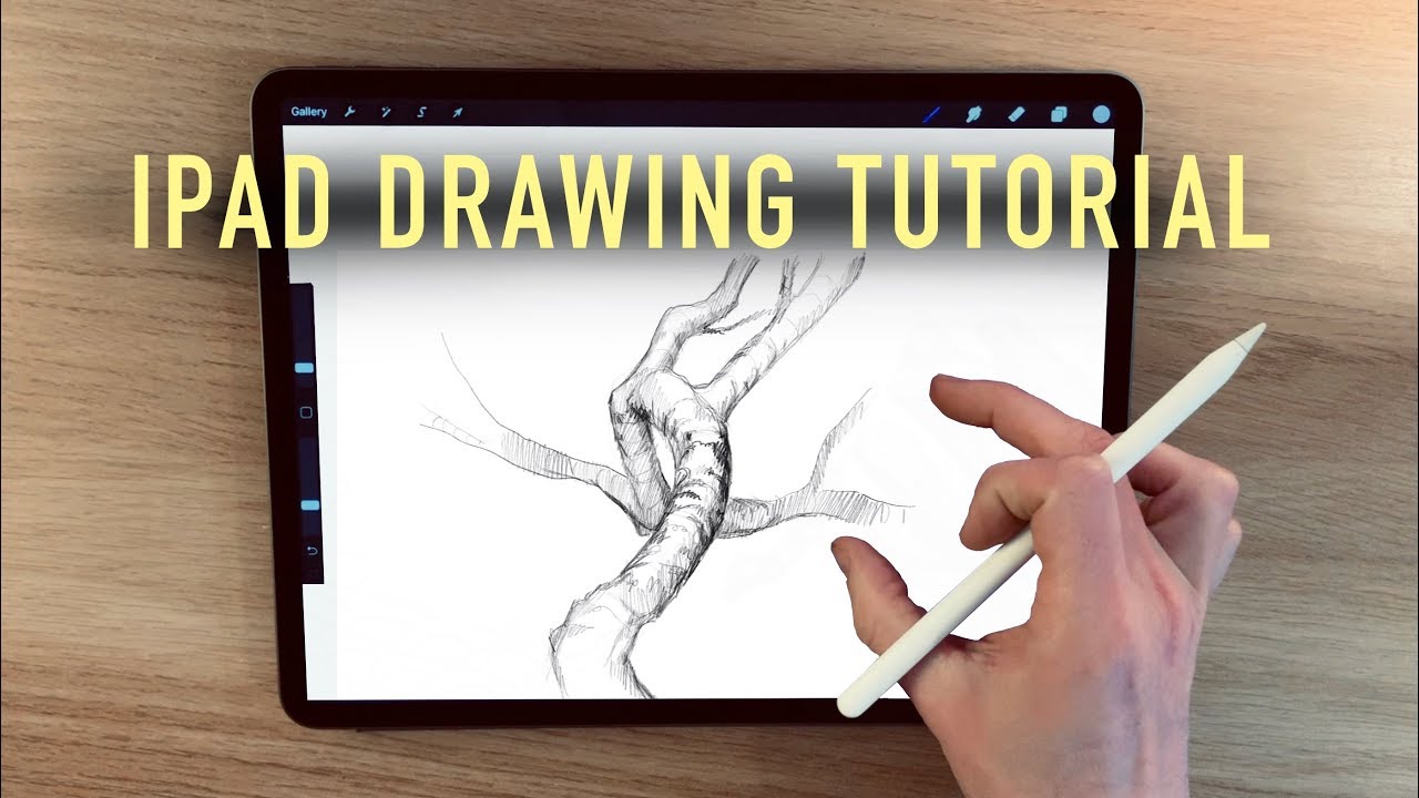 IPad drawing tutorial - How to draw branches