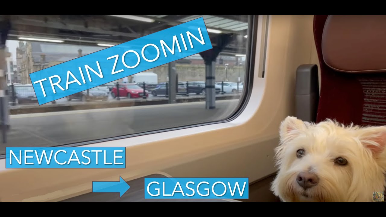 Westie Dog ADVENTURE Taking the TRAIN to Glasgow : Dog Train travel : Pet Friendly LNER