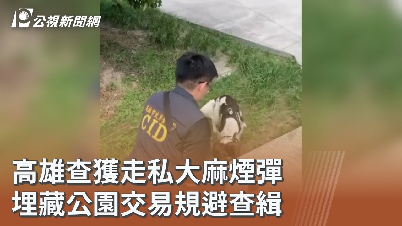 高雄查獲走私大麻煙彈 埋藏公園交易規避查緝｜20251212 公視午間新聞
