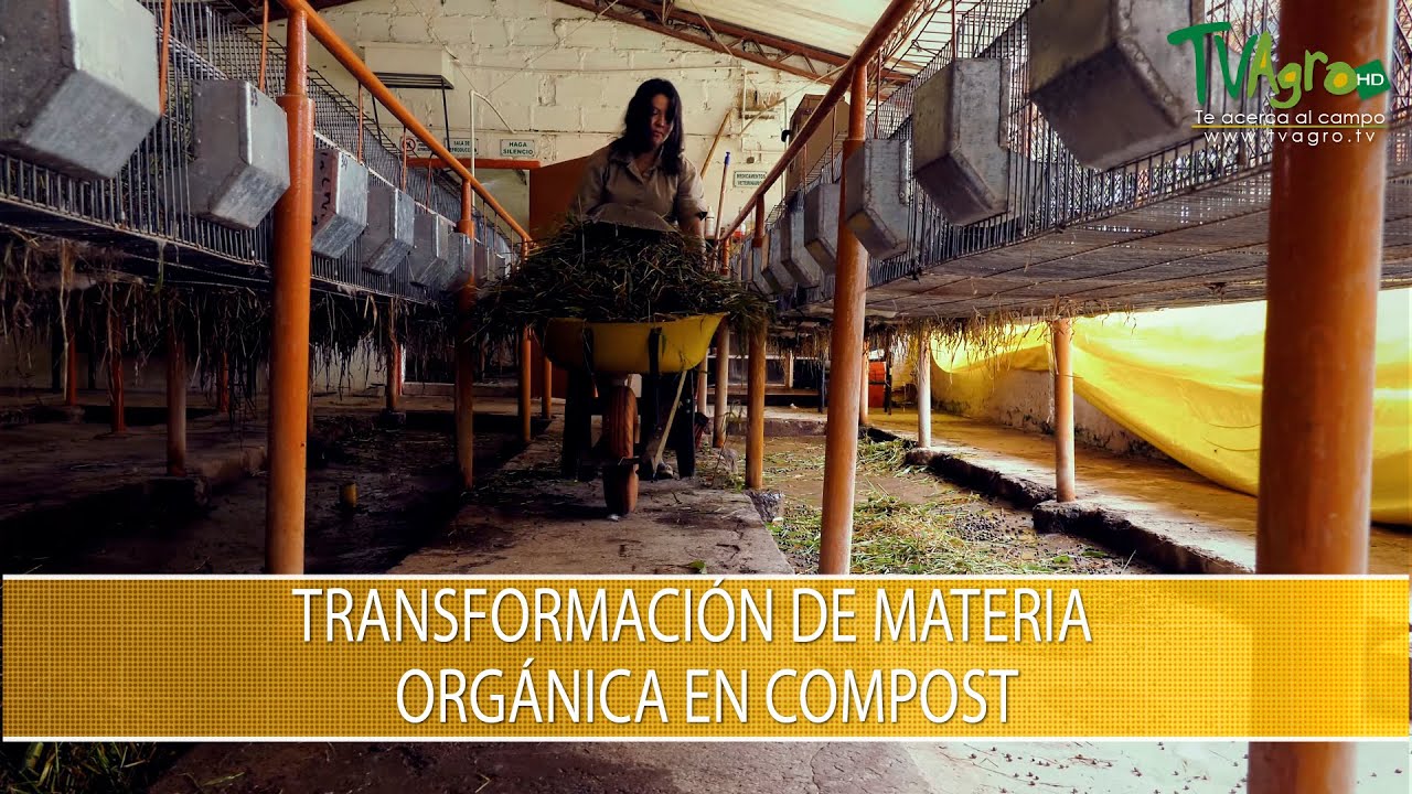 Transformacion de Materia Organica en Compost- TvAgro por Juan Gonzalo Angel Restrepo