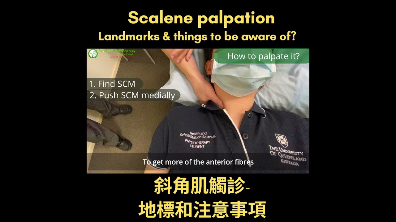 Scalene palpation