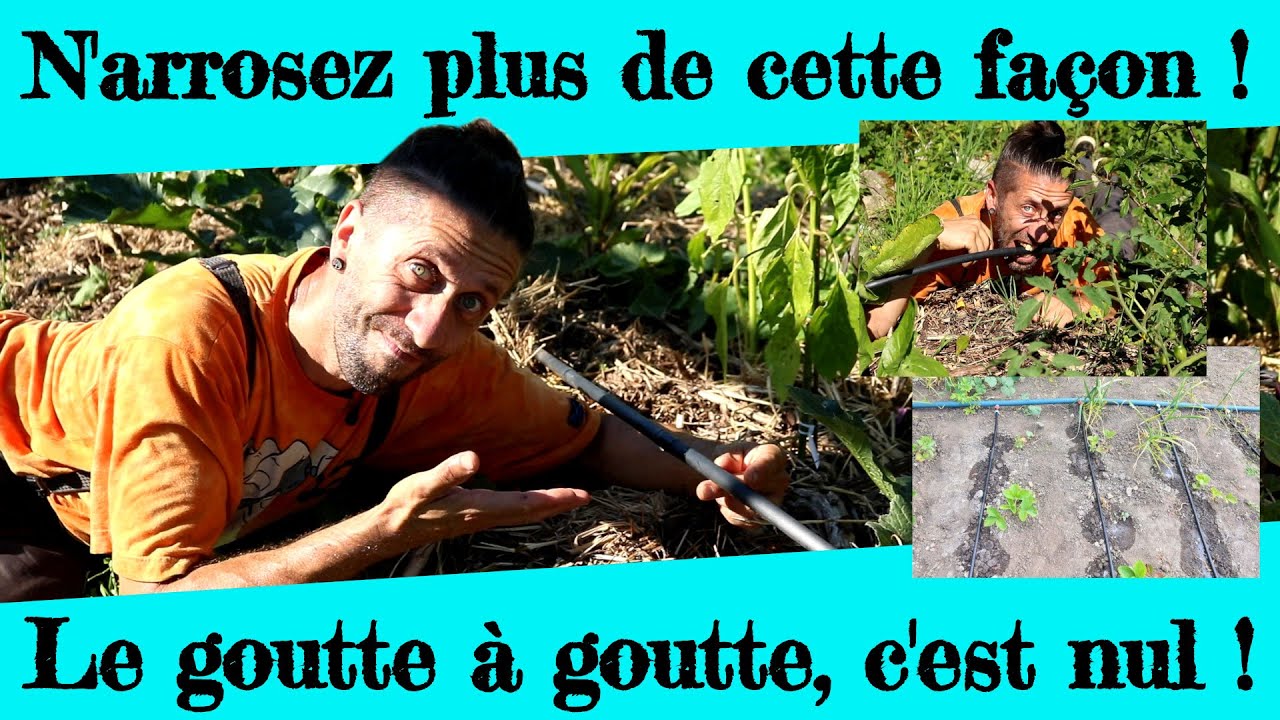 N'arrosez surtout pas de cette façon !  Le goutte à goutte...  C'EST NUL !