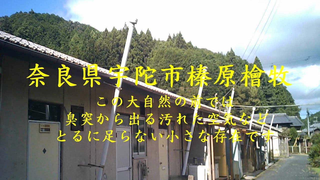 奈良県宇陀市榛原檜牧　この大自然の中では臭突から出る汚れた空気などとるに足らない小さな存在です