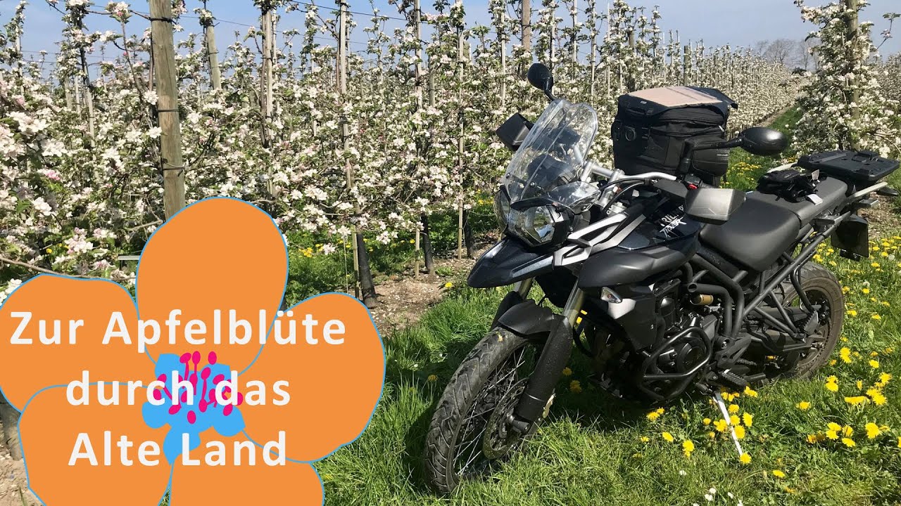 Zur Apfelblüte mit dem Motorrad durchs Alte Land