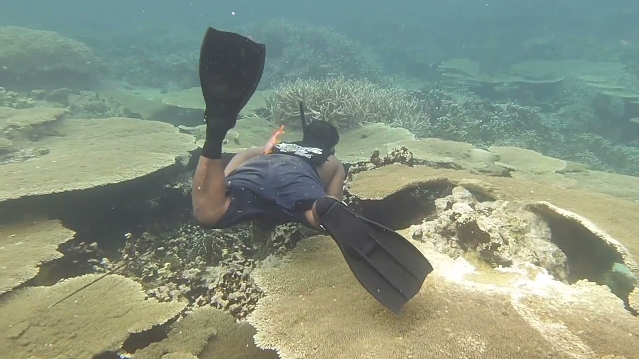 Majuro, Lokijeek lifestyle