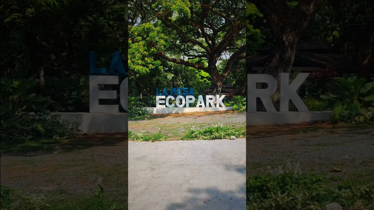 Here&rsquo;s what it&rsquo;s like arriving and getting inside La Mesa Eco Park! 🌳 #travel #lamesa #nature #tree