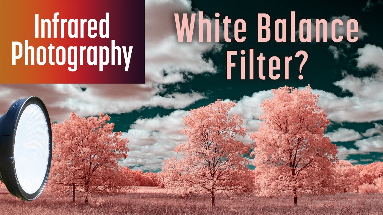 White Balance Filter for Infrared? Raw vs JPEG, IR Video, ExpoDisc 3