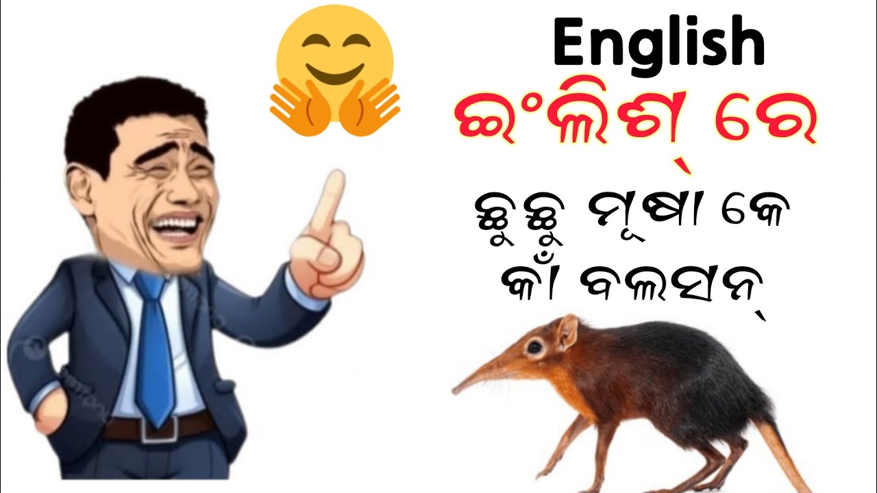 English Re chhu chhu Ke kan Balsan | sambalpuri hasladu | funny comedy funny comedy