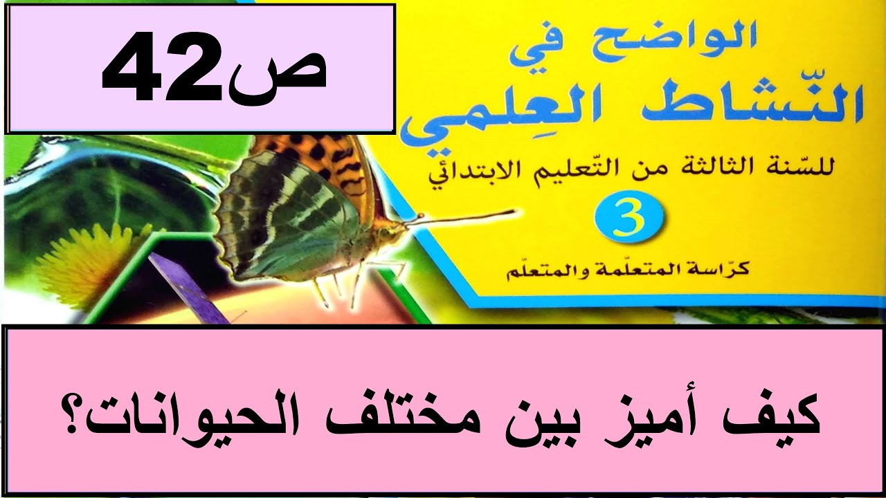 كيف أميز بين مختلف الحيوانات ؟ص42 الواضح في النشاط العلمي المستوى الثالث طبعة 2020
