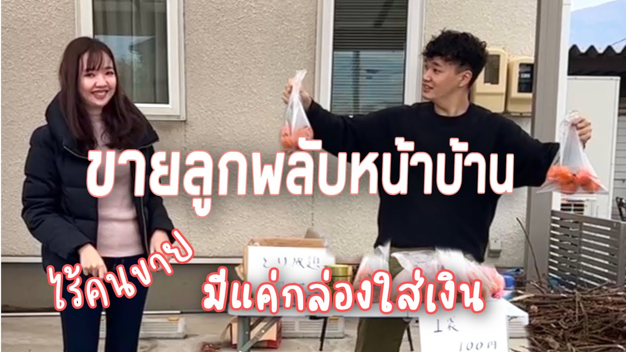 ขายลูกพลับหน้าบ้านโดยไร้คนขาย |หยิบฟรีไม่จ่ายเงินก็มีนะ❗️|ขายพลับทั้งต้นได้เงินเท่าไหร่❓