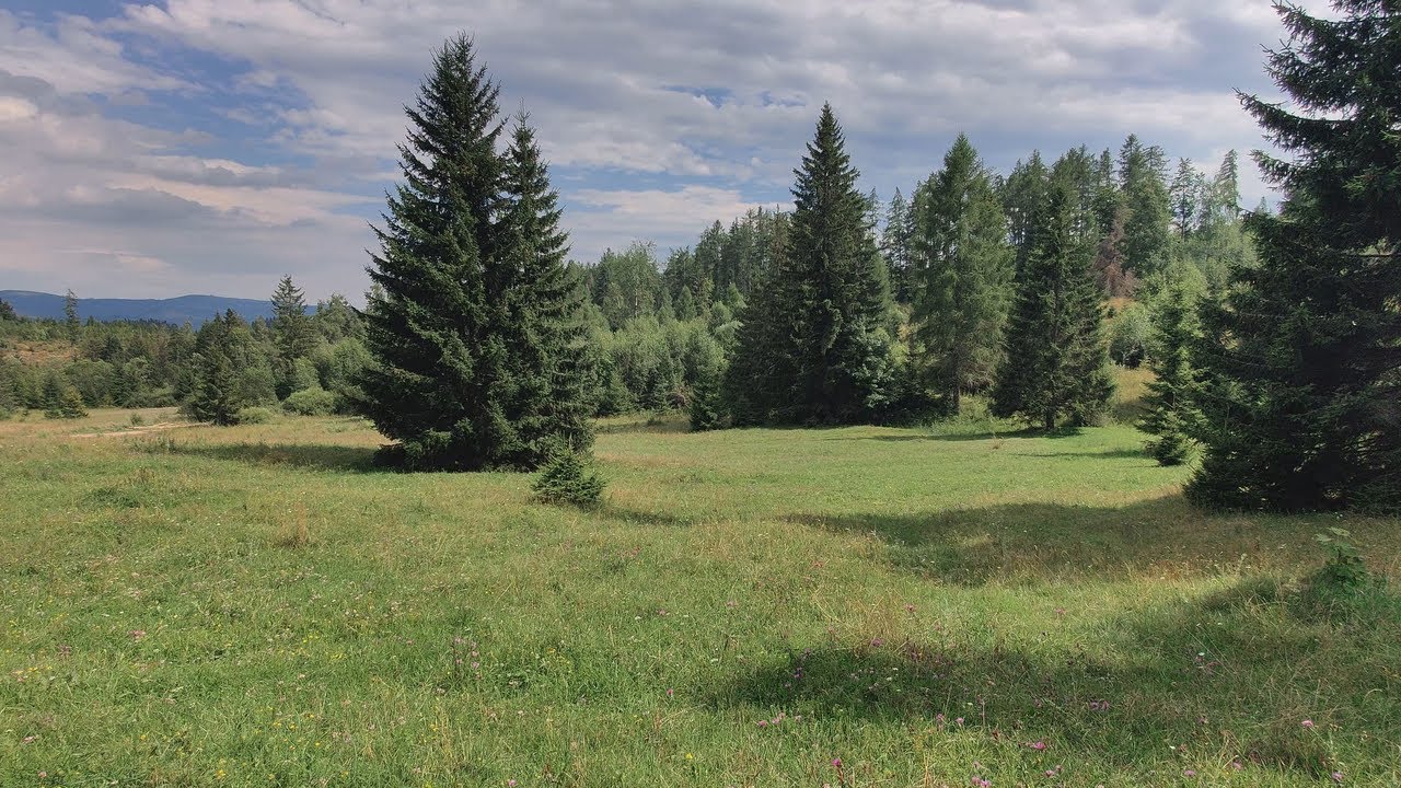Košice - Telgárt (Volovské vrchy, Slovenský raj - Júl 2024)