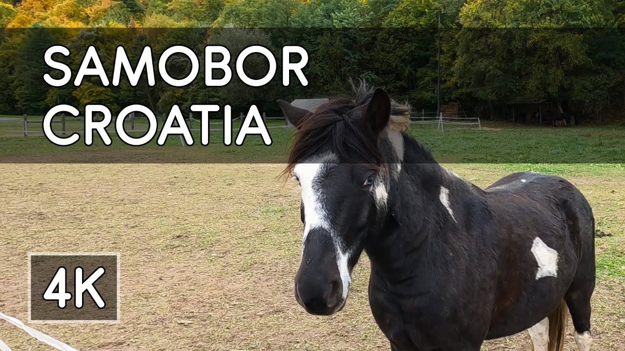 Walking Tour: Samobor, Croatia - 4K UHD
