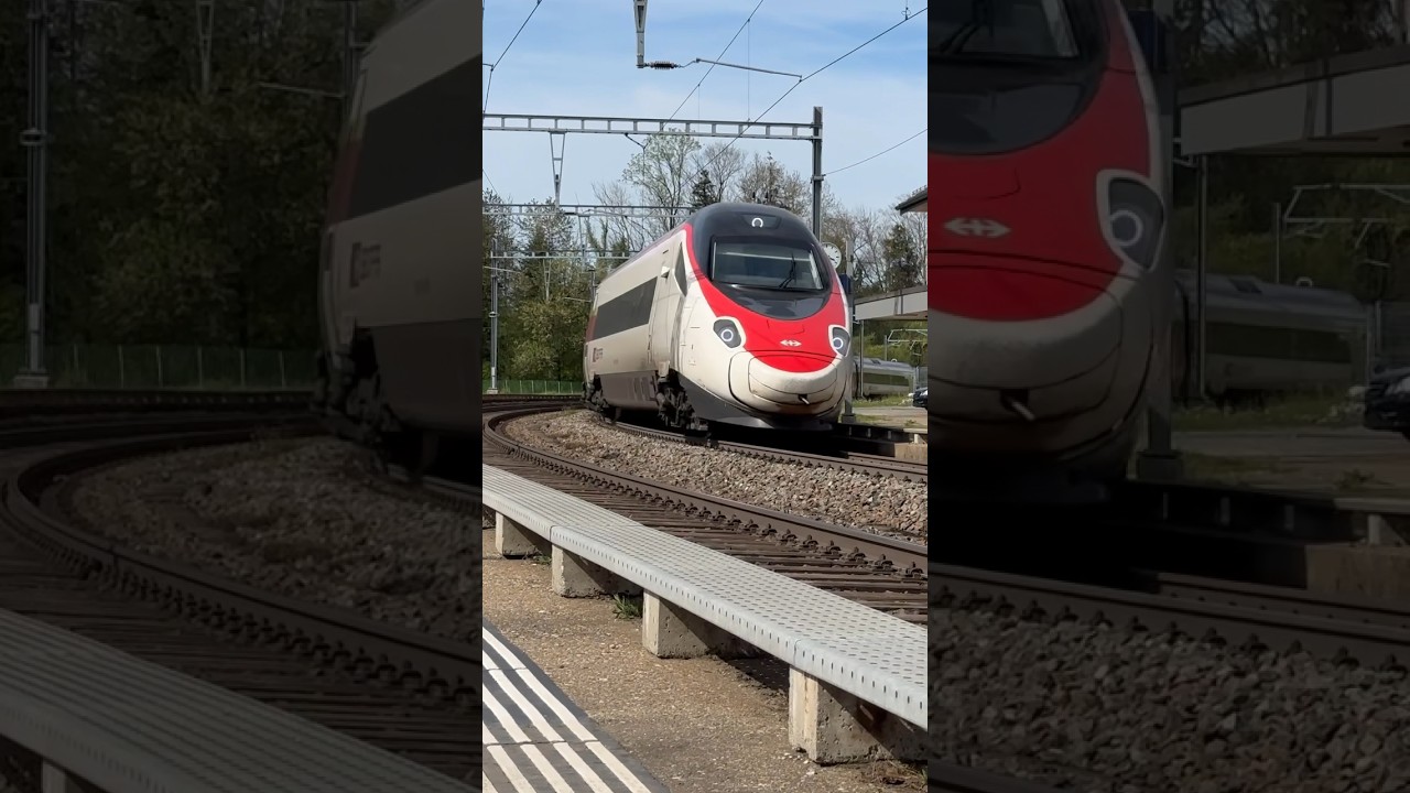 Durchfahrt des (SBB  RABe 503) beim Bahnhof M&ouml;rschwil #swissrailway #train #trainspotting #railway