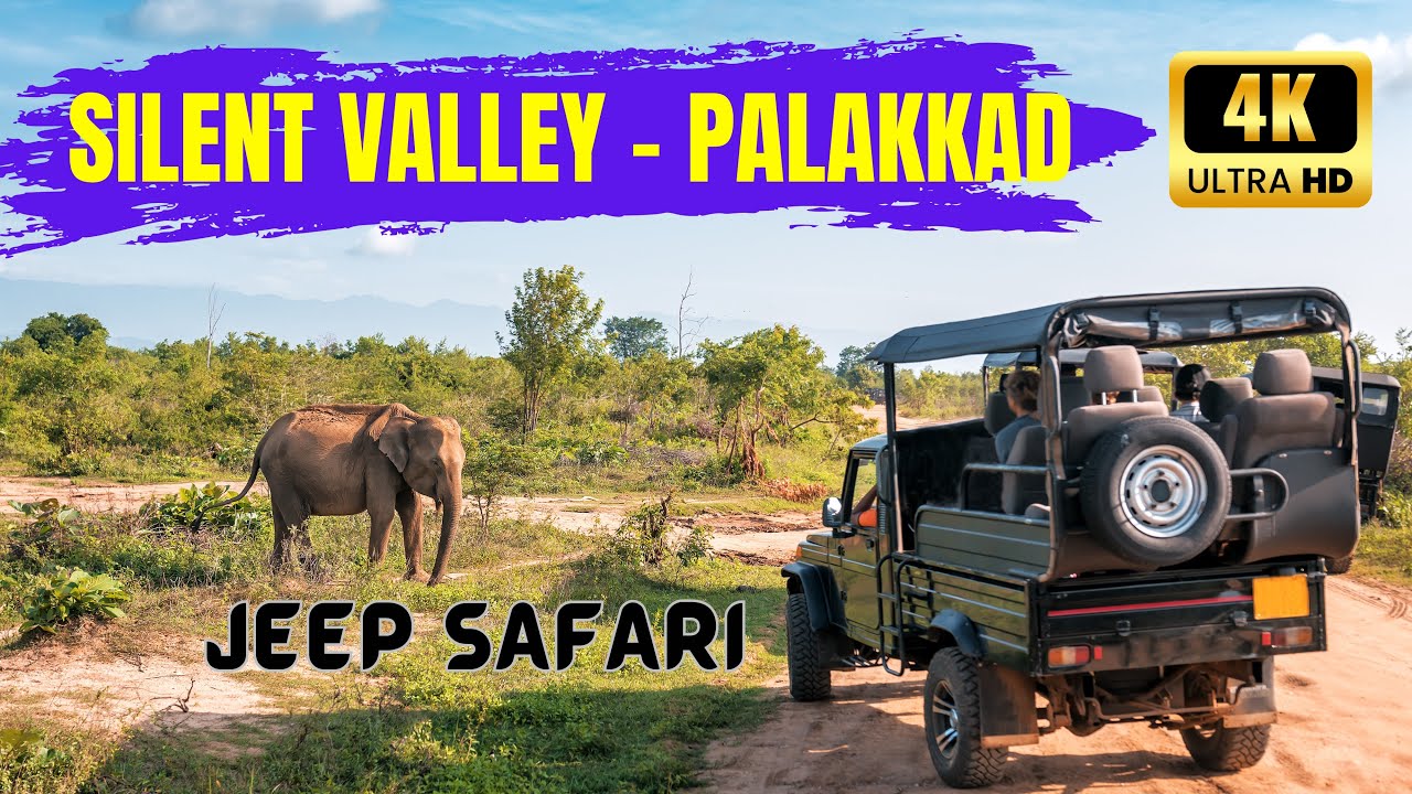 Silent valley national park | palakkad  | BestBudgetTrips BBT