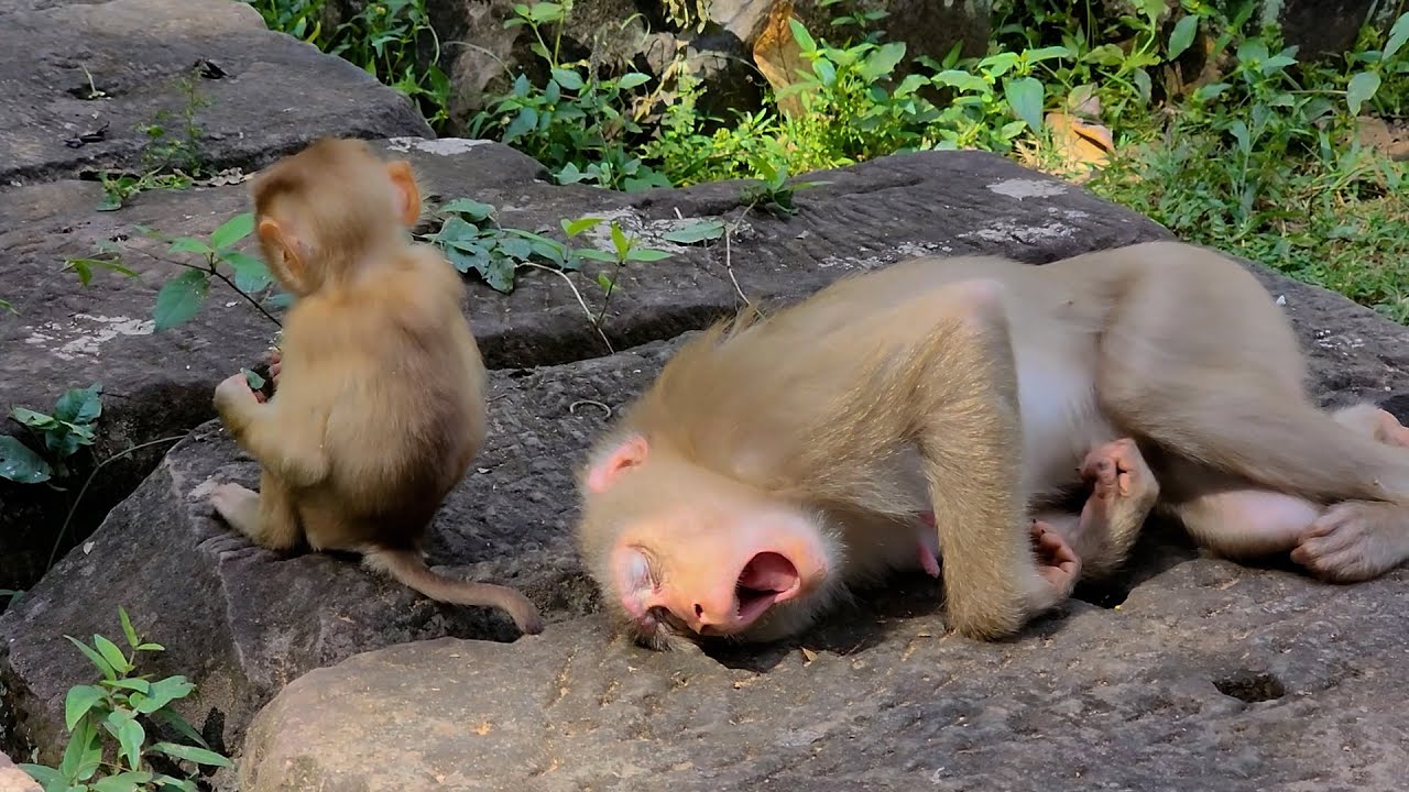 Mother seems so tired