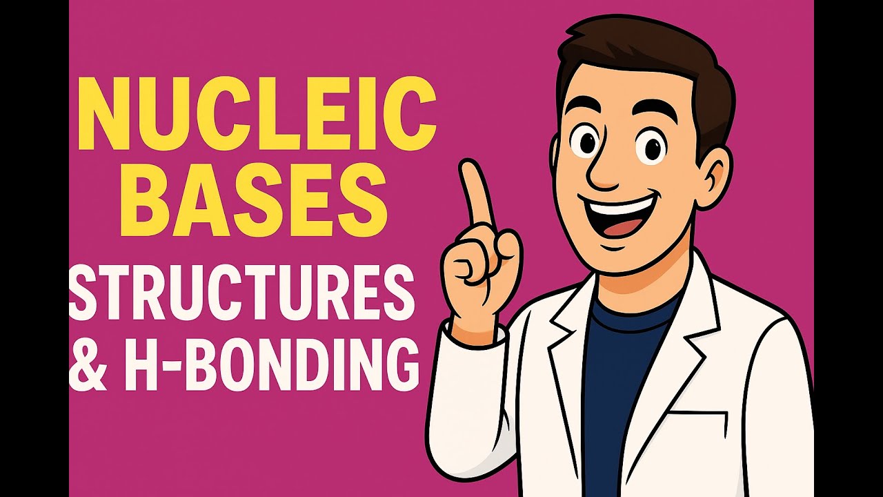 Nucleic Bases - Structure & Hydrogen Bonding of Purines and Pyrimidines